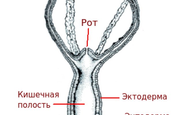 Даркнет покупки