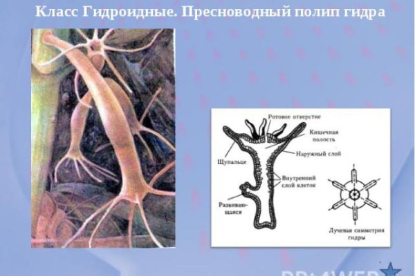 Мега официальный сайт мориарти