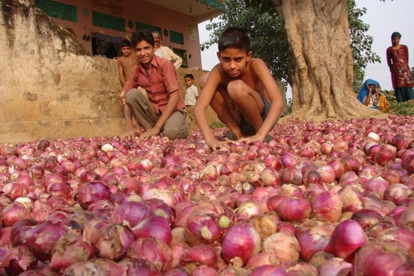 Mega ссылка тор onion